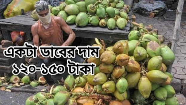 deshchitro-64ddfa8bb7977-170823044635.webp