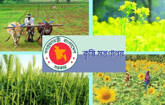 deshchitro-64f5b94919baf-040923050233.webp