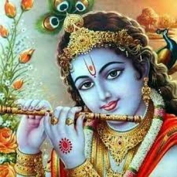 deshchitro-64f6e06143322-050923020137.webp