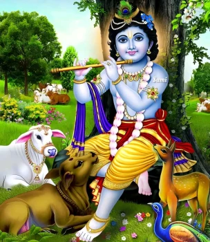 deshchitro-64f76129f3714-050923111105.webp