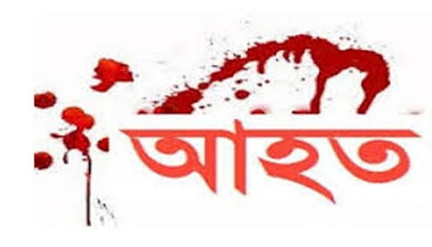 deshchitro-64fdd5f68e3f1-100923084302.webp