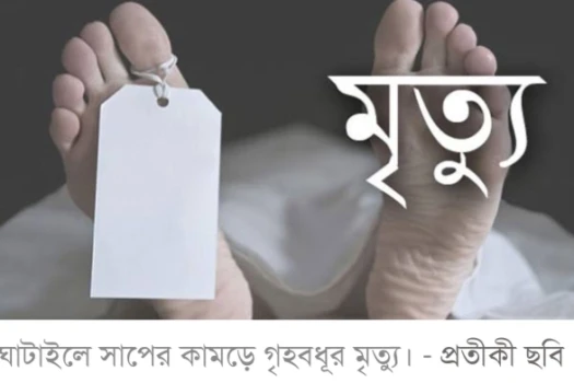 deshchitro-651d53b3136eb-041023055947.webp