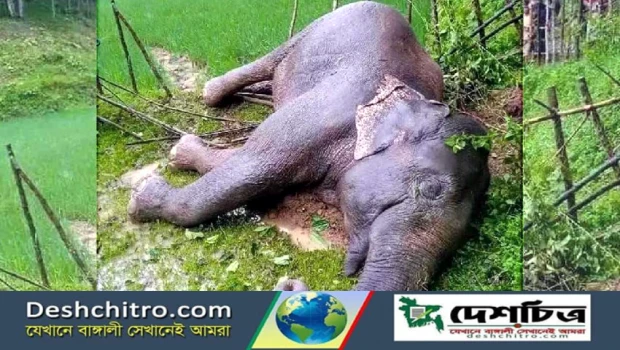 deshchitro-651e9db44de34-051023052748.webp