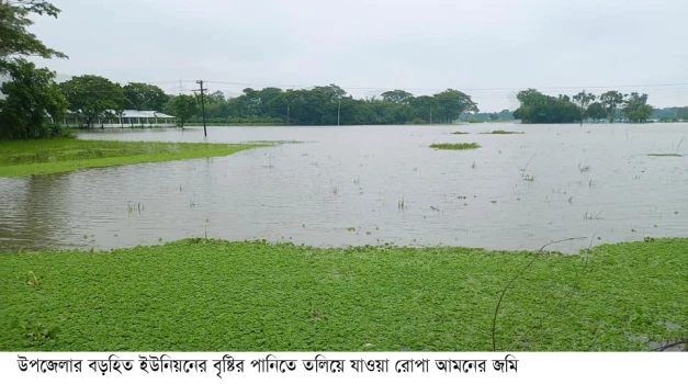 deshchitro-65228b9609077-081023045934.webp