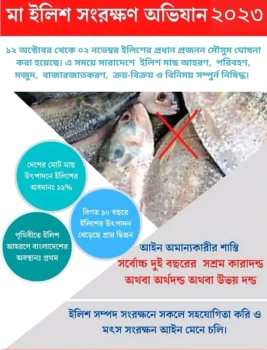 deshchitro-6526af9b8fcf9-111023082219.webp