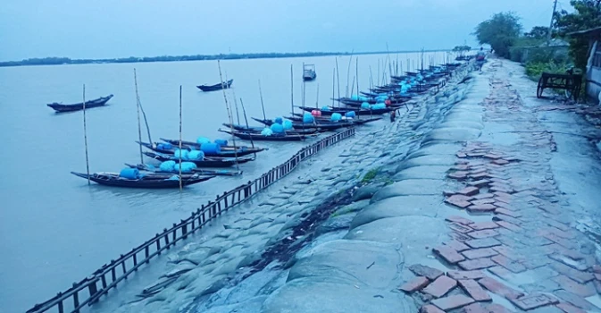 deshchitro-65379037b59a3-241023033655.webp