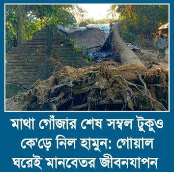 deshchitro-653b436f59aa7-271023105823.webp