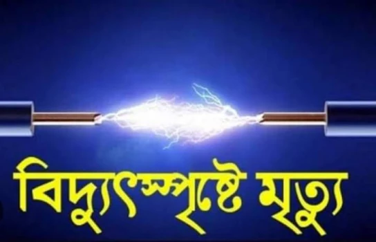 deshchitro-653c5b5e7ec88-281023065246.webp