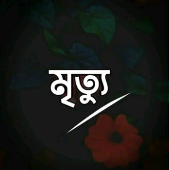 deshchitro-6544be8ccbeb7-031123033404.webp