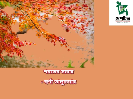deshchitro-654dcf656c18c-101123123621.webp