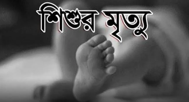 deshchitro-6553866fdd302-141123083839.webp