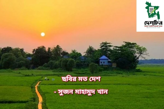 deshchitro-6553a0abb314d-141123103035.webp