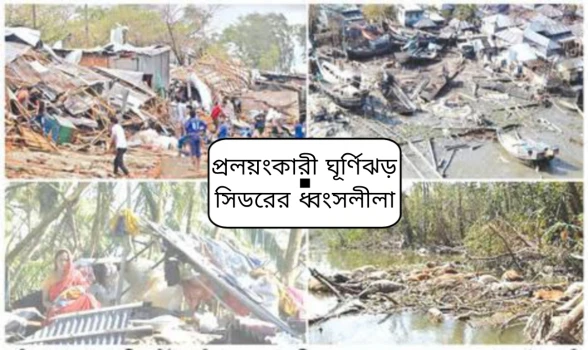 deshchitro-6553acbba4e6e-141123112203.webp