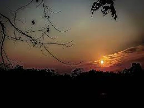 deshchitro-65575d9700e7e-171123063327.webp
