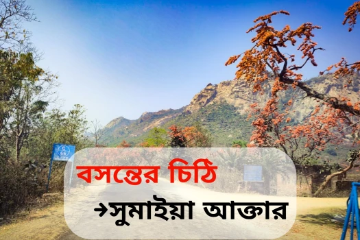 deshchitro-655aab36f37f4-201123064126.webp
