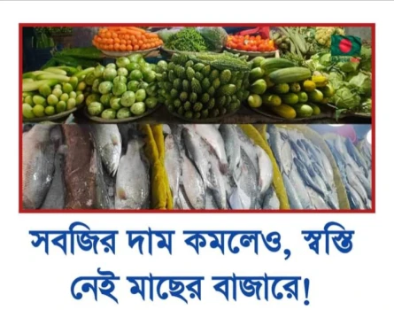 deshchitro-6569c14f5d2f9-011223051943.webp