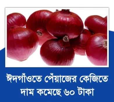 deshchitro-657850c5b55b2-121223062333.webp