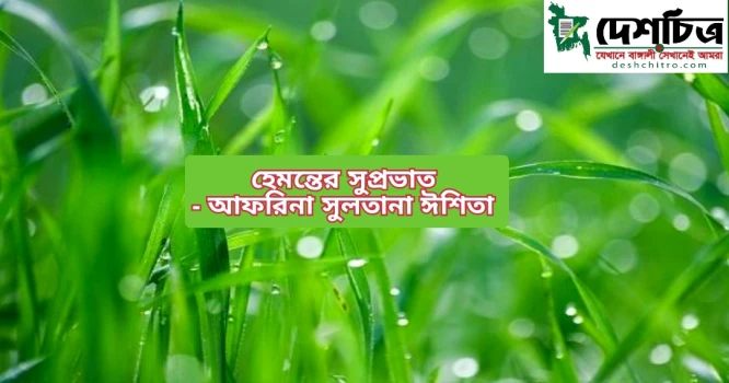 deshchitro-657ed20908f69-171223044841.webp