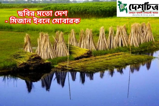 deshchitro-657ed2e3cdb49-171223045219.webp