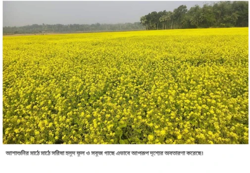 deshchitro-6583f8b036dc0-211223023456.webp