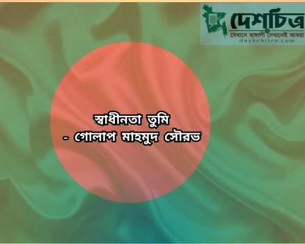 deshchitro-658483ad9ccfb-221223122757.webp