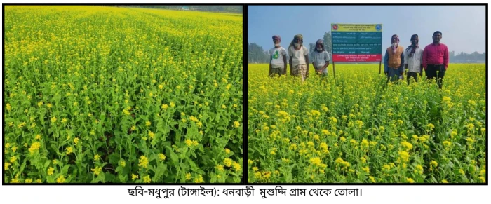 deshchitro-65890fd498653-251223111500.webp