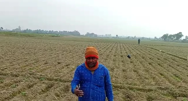 deshchitro-658d00cf735e6-281223105959.webp