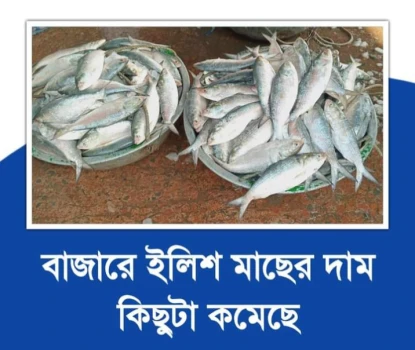 deshchitro-658ed73c1cc12-291223082708.webp