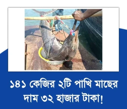 deshchitro-6597e1ce1aa8f-050124050238.webp