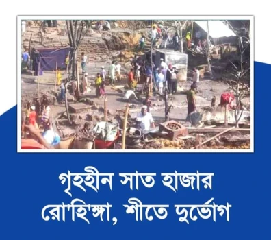 deshchitro-659cec23b5c4a-090124124803.webp