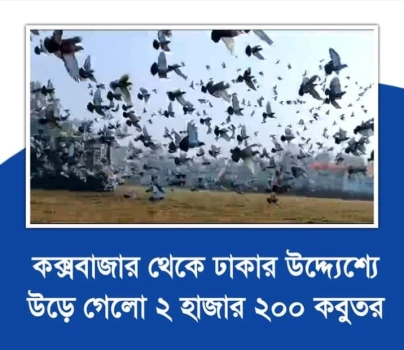 deshchitro-659f97e12b1d0-110124012521.webp