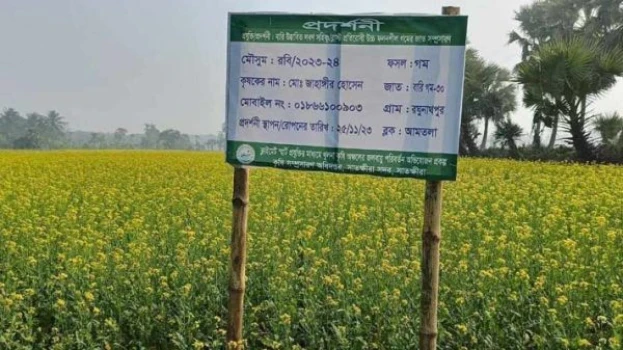 deshchitro-65a415ba1bc58-140124111122.webp