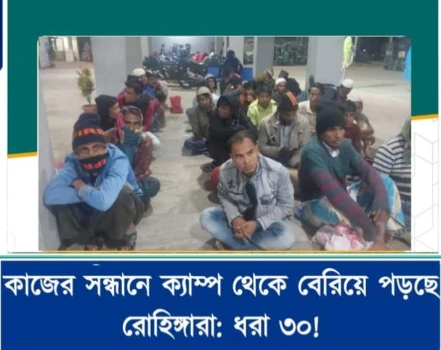 deshchitro-65a7ad6a27cfd-170124043522.webp