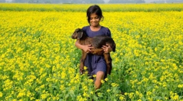 deshchitro-65acd836ee40f-210124023918.webp