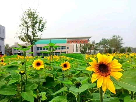 deshchitro-65b3405c767b7-260124111716.webp