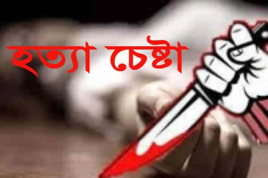 deshchitro-65c0fb73e6bb9-050224091459.webp