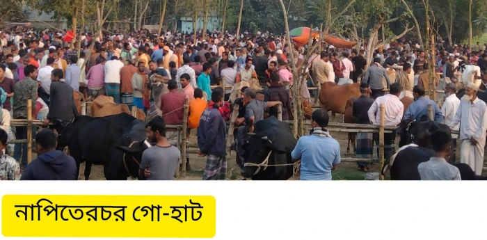 deshchitro-65f05c4c8f170-120324074444.webp