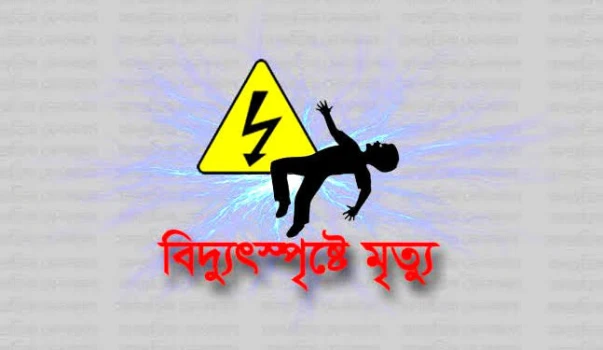 deshchitro-66209ae981d94-180424100041.webp