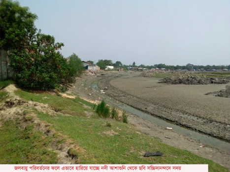 deshchitro-662223ffb9555-190424015751.webp