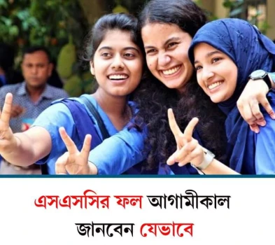 deshchitro-663fa595e3a03-110524110629.webp