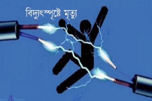 deshchitro-664def8cb2790-220524071348.webp