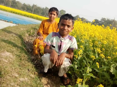 deshchitro-66521396700e6-250524103638.webp