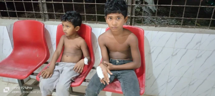 deshchitro-66633efeaa96f-070624111022.webp