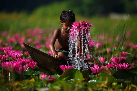 deshchitro-668269f1d22eb-010724023353.webp