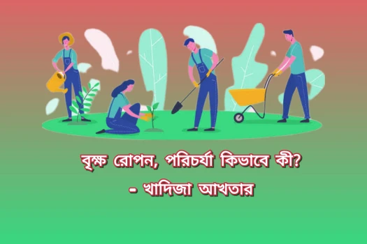 deshchitro-66884a28d5166-060724013152.webp
