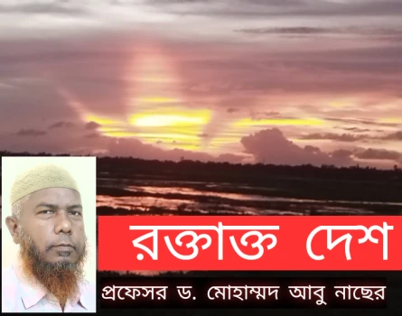deshchitro-66a6200b26211-280724044011.webp