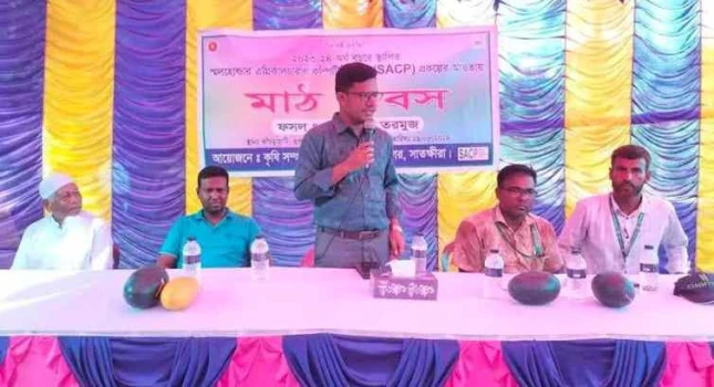 deshchitro-66d1d758c8738-300824082944.webp