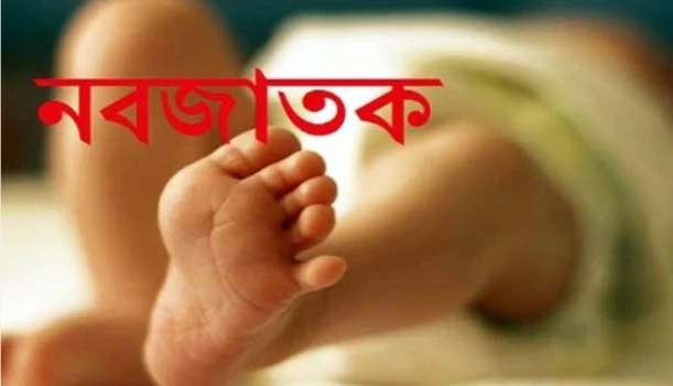 deshchitro-66e15ca826dfb-110924030232.webp