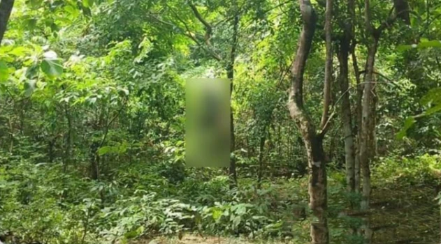 deshchitro-66ec0ae35a4d0-190924052835.webp