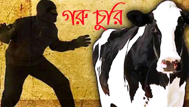 deshchitro-66f2a2bf99d5a-240924053007.webp